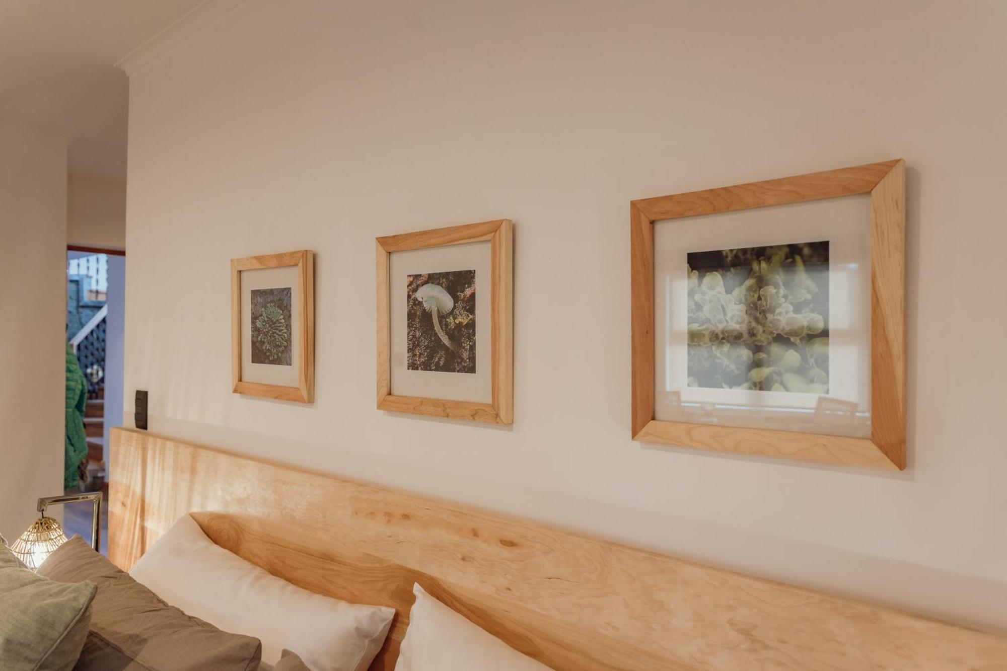 Pura Hotel Coyhaique Zewnętrze zdjęcie